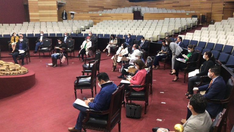 ¿Candidatura o continuar en el cargo? DIPUTADOS en ENTREDICHO