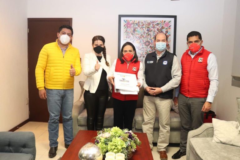 El proceso electoral 2021 debe ofrecer grandes cambios: Erika Rodríguez