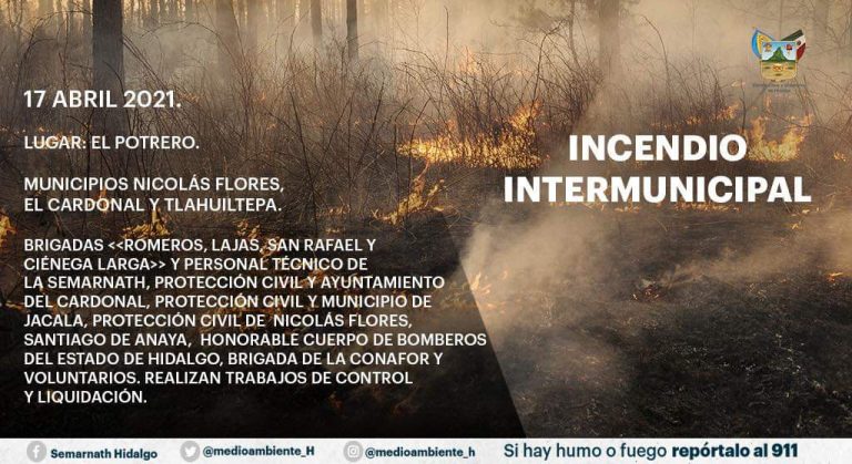 Instancias de Seguridad, Medio Ambiente  y voluntarios enfrentan incendio forestal intermunicipal en Hidalgo