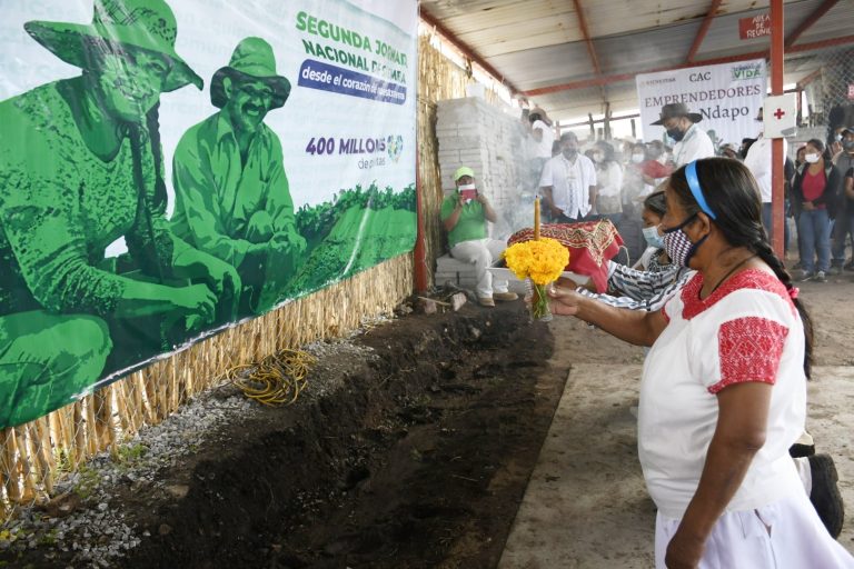 Hidalgo reforesta con más de 11 millones de árboles