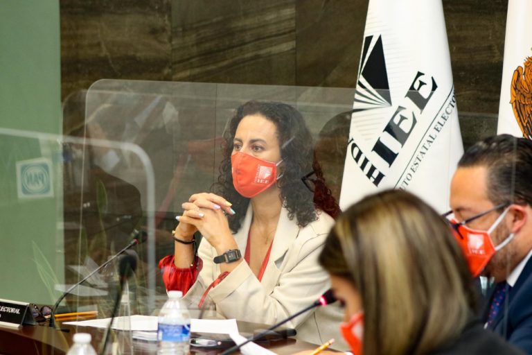 IEEH comisiones permanentes y temporales