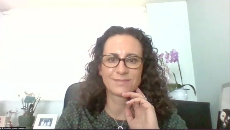 IEEH organizaciones ciudadanas incentivar voto