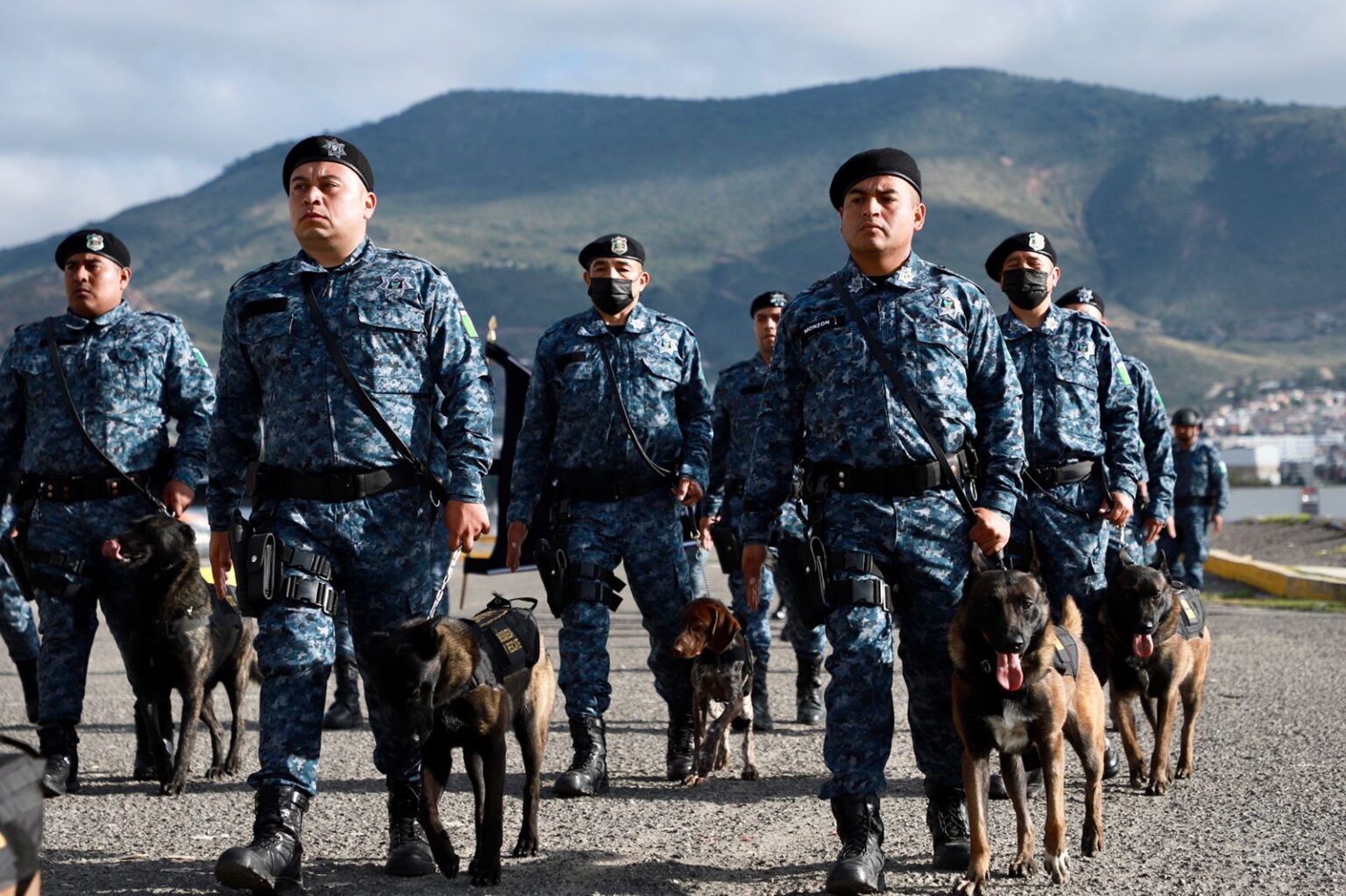 En Dos Semanas Presenta Gobierno De Hidalgo Primeros Resultados En Materia De Seguridad Desde 8858