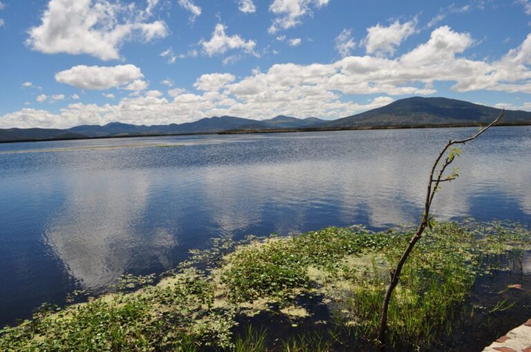 ‘Encuentro por los humedales’, al RESCATE de la Laguna de TECOCOMULCO