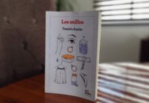 Novelas editadas en Hidalgo. Big Bang Ediciones. 'Los anillos' de Daniela Ruelas.