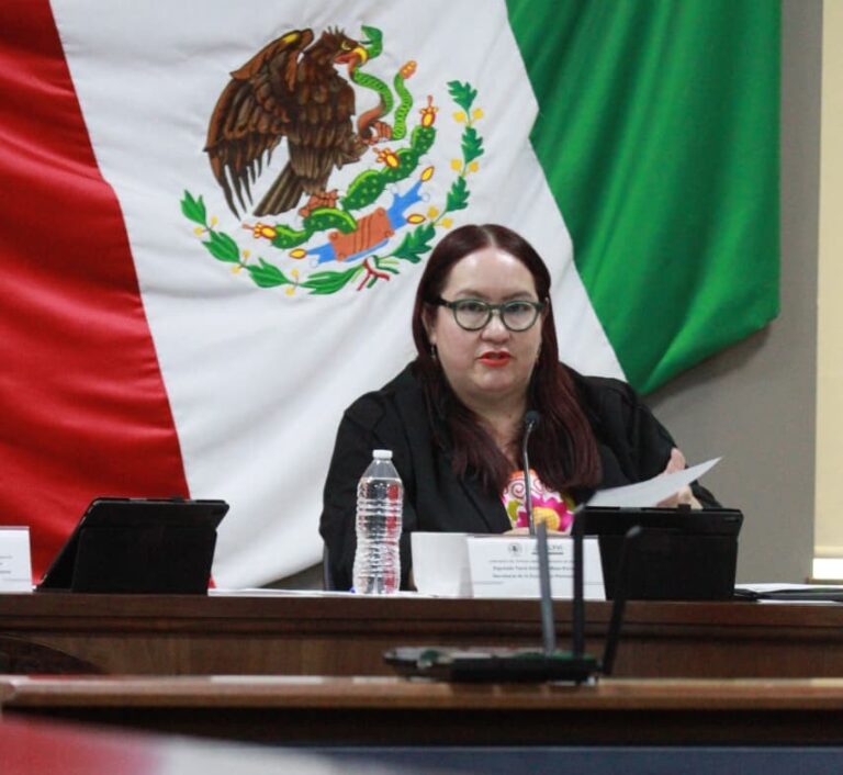 Presenta Tania Meza iniciativa para reconocer a las personas adultas mayores diversas