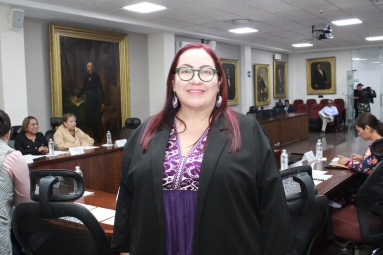Presenta Tania Meza iniciativa para obligar a la corresponsabilidad en tareas domésticas
