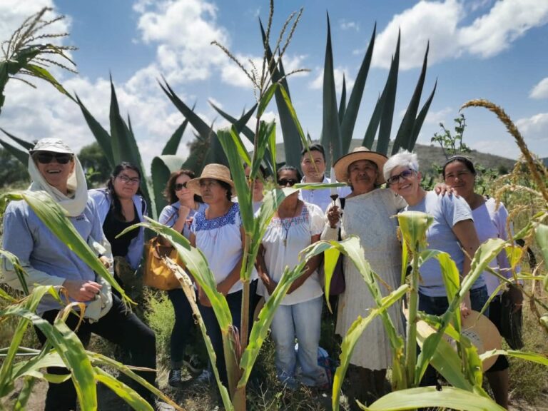 Nuhusehe A. C. cumple 22 años. Es la organización de desarrollo comunitario más importante de Hidalgo