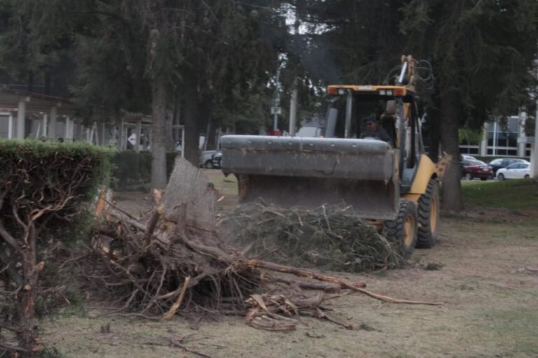 Ecocidio en la UAEH: Estudiantes denuncian devastación de la mayor zona verde de la «Ciudad del conocimiento»